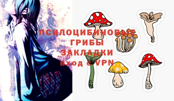 дмт Анжеро-Судженск