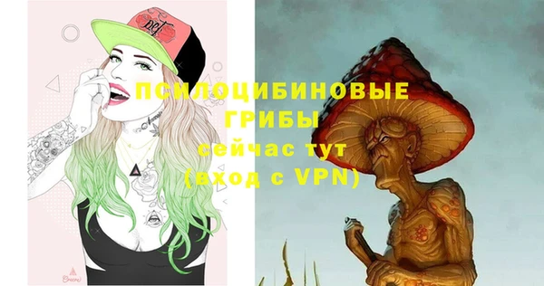 дмт Анжеро-Судженск