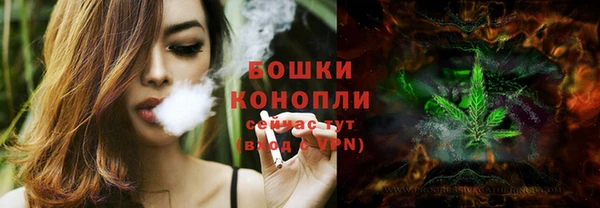 ПСИЛОЦИБИНОВЫЕ ГРИБЫ Белокуриха