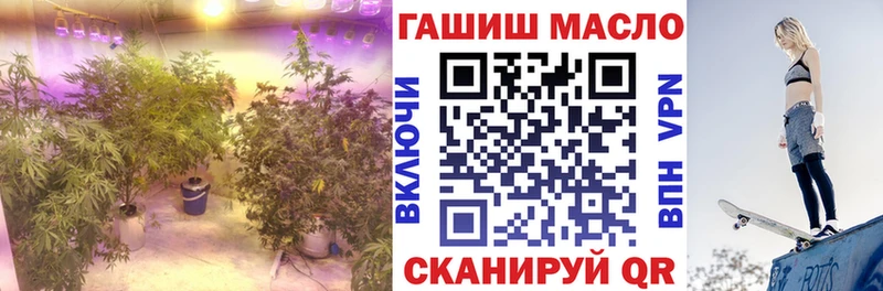 как найти наркотики  Бокситогорск  Дистиллят ТГК гашишное масло 