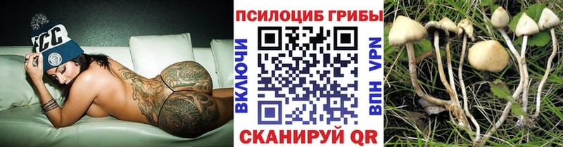 Галлюциногенные грибы Psilocybe Бокситогорск
